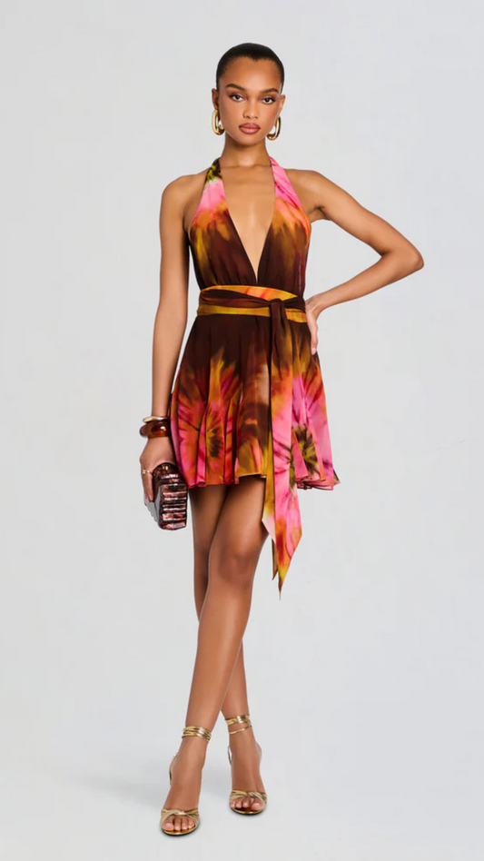 Briola Chiffon Dress